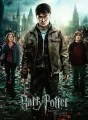 Puzzle 300 XXL Harry Potter - tantis.pl