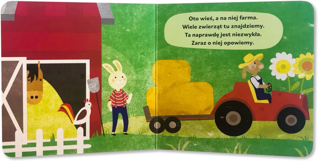 Na wsi książka z puzzlami w pudełku - tantis.pl