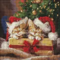 Diamentowa mozaika - Puszyste prezenty 40x40cm - tantis.pl