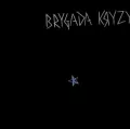 Brygada Kryzys (na 40-lecie) LP - tantis.pl
