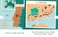 Tramwaj numer 28. Czytam sobie. Poziom 1 - tantis.pl