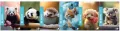 Zeszyt A4/96k kratka Be More Baby (10szt) - tantis.pl