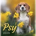 Kalendarz 2026 wieloplanszowy 33x33cm Psy - tantis.pl