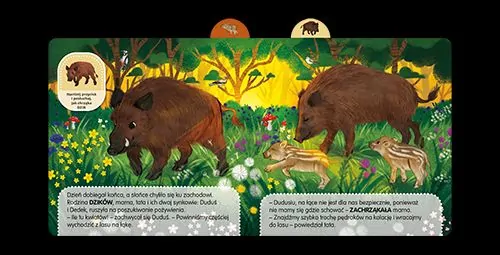 Łąka. Odkrywam dźwięki - tantis.pl