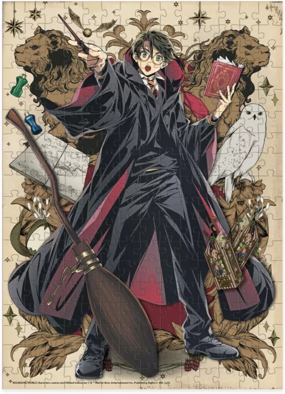 Puzzle 250 Harry Potter. Harry - tantis.pl