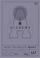 Blok techniczny A4 10 kartek 240g Academy Interdruk - tantis.pl