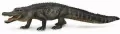Aligator - tantis.pl