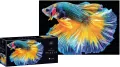 Puzzle 250. Colourful Nature 6 Fish - tantis.pl