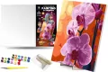 Malowanie po numerach - Orchidea 40x50cm - tantis.pl