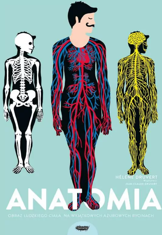 Anatomia. Obraz ludzkiego ciała na wyjątkowych ażurowych rycinach - tantis.pl