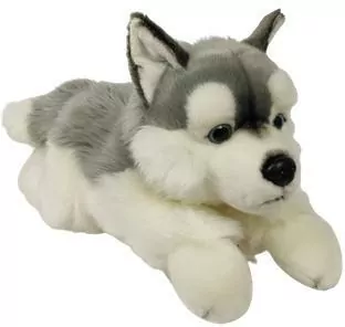 Pies Husky 61cm - tantis.pl