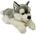 Pies Husky 61cm - tantis.pl