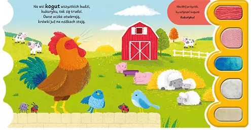 Wieś. Sensoryka maluszka - tantis.pl