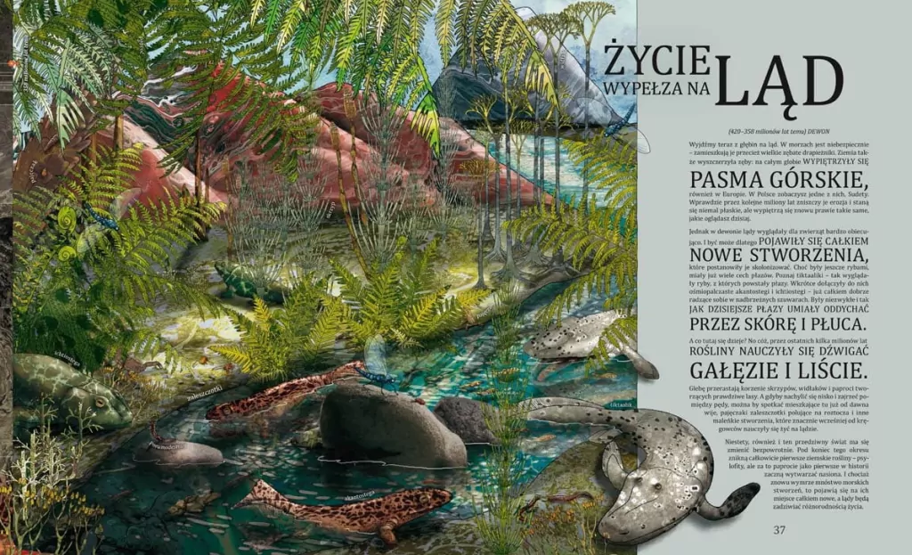 Od początku, czyli powstanie i rozwój życia na ziemi - tantis.pl