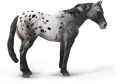 Niebieski Deresz Appaloosa - tantis.pl