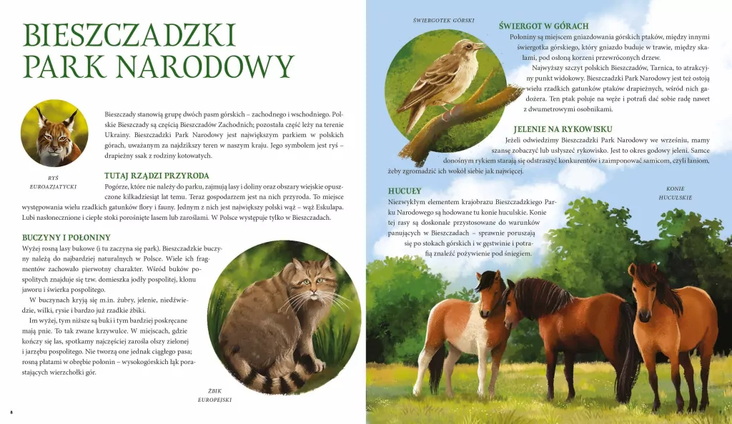 Parki narodowe. Symbole polskiej przyrody - tantis.pl