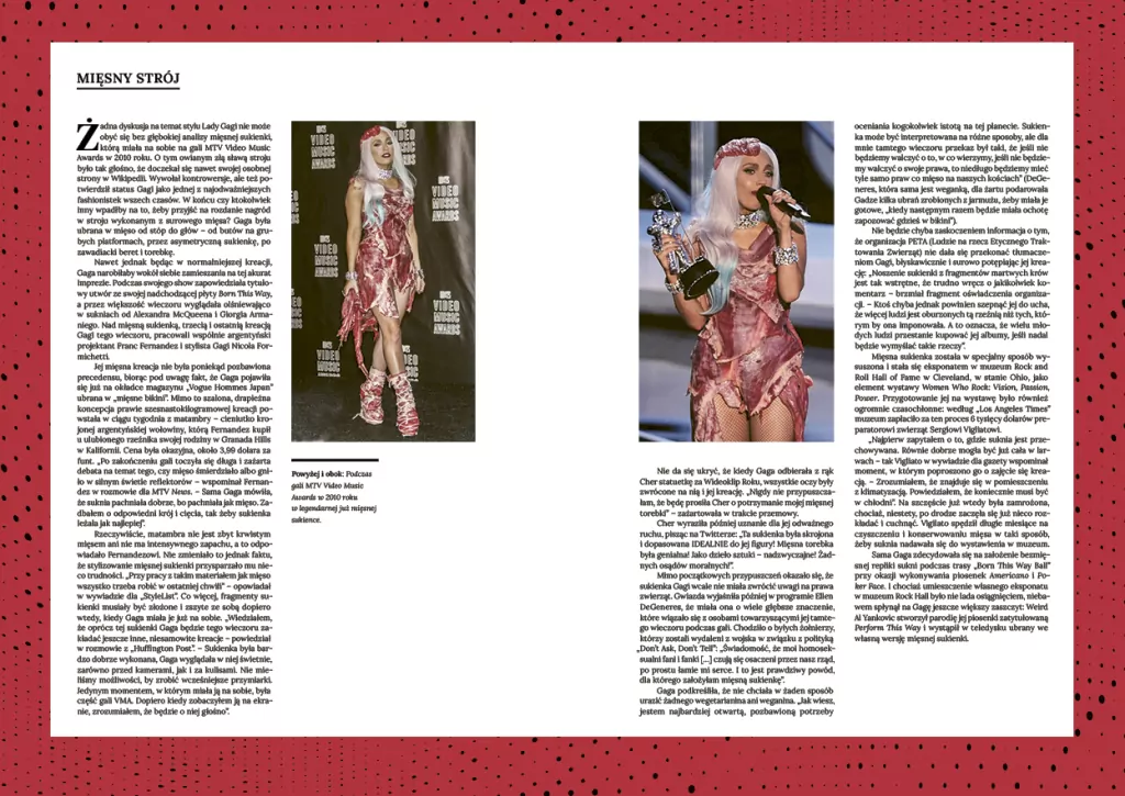 Lady Gaga: Applause. Biografia ikony - tantis.pl