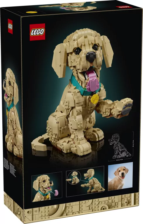 LEGO® Icons. Szczeniak golden retriever 11384 - tantis.pl