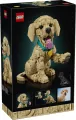 LEGO® Icons. Szczeniak golden retriever 11384 - tantis.pl