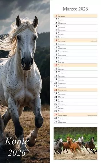 Kalendarz 2026 ścienny pasek Konie - tantis.pl