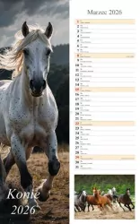 Kalendarz 2026 ścienny pasek Konie