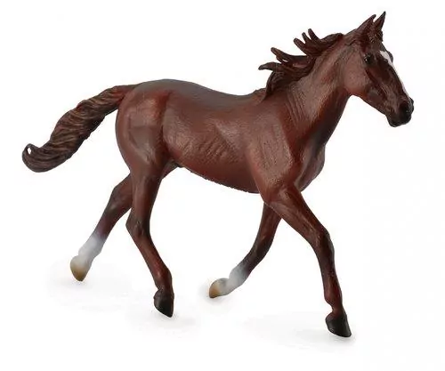 Ogier standardbred pacer kasztanowy - tantis.pl