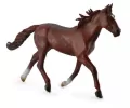 Ogier standardbred pacer kasztanowy - tantis.pl