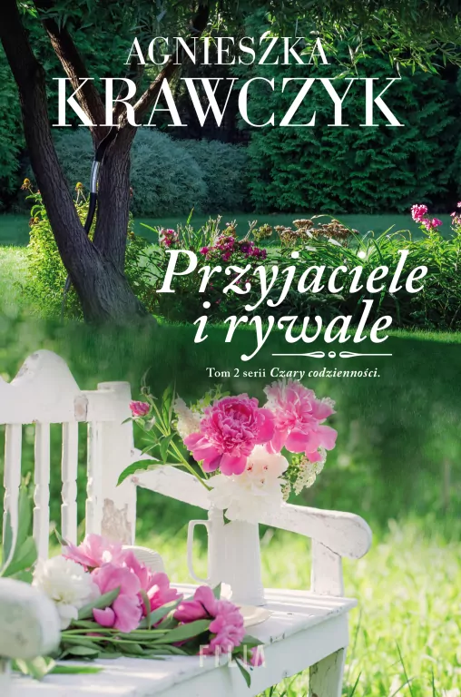 Przyjaciele i rywale. Czary codzienności. Tom 2 - tantis.pl