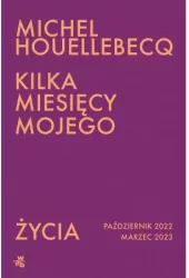 Kilka miesięcy mojego życia