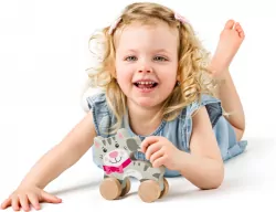 KOT NA KOLKACH DREW Z UCHWYTEM 15X13X8 PBX