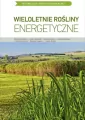 Wieloletnie rośliny energetyczne - tantis.pl