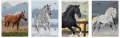 Zeszyt A5/32K 3kol linia 70g UV Wild Horses(10szt) - tantis.pl