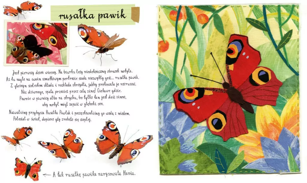 Mały atlas motyli Ewy i Pawła Pawlaków. Mały atlas Pawlaków - tantis.pl