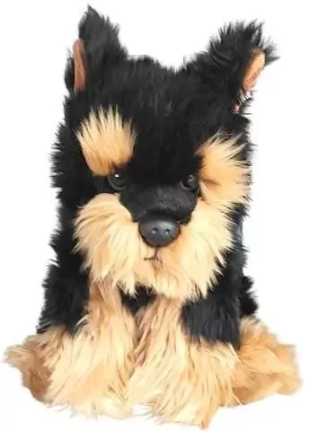 Pies morkie 30cm - tantis.pl