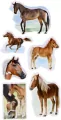 Naklejki. Konie - tantis.pl