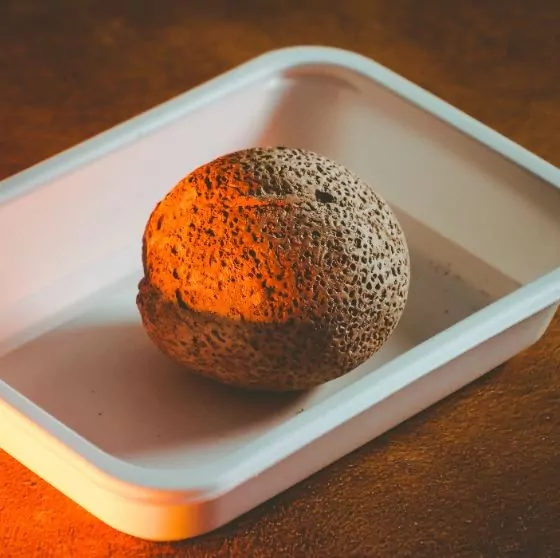 Smoki i dinozaury. Crazy Science - tantis.pl