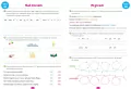 Edukacja wczesnoszkolna. Język polski. Przyroda. KP ucznia, kl. 1-3 - tantis.pl