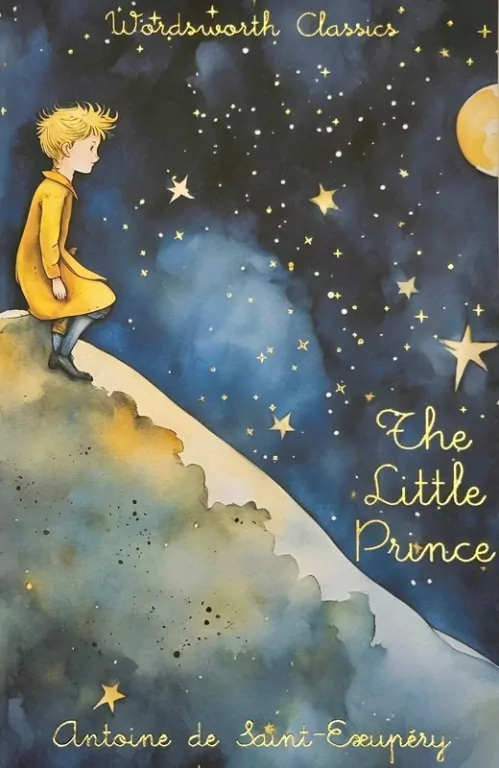Little Prince - tantis.pl