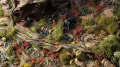 Gamers Grass: Poppy Tiny Flowers - tantis.pl