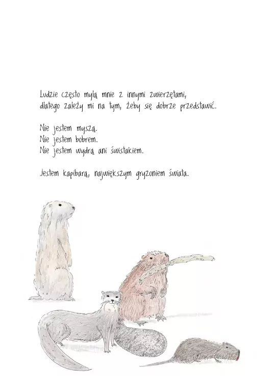 Być jak kapibara - tantis.pl