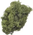 Mech dekoracyjny zielony 50g - tantis.pl