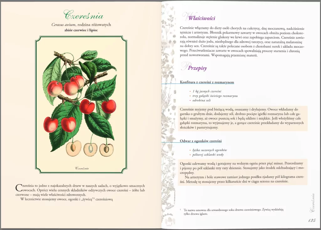 Zioła, nalewki, syropy i inne przepisy - tantis.pl