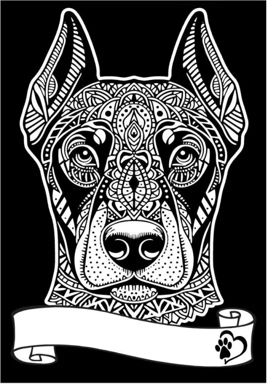 Kolorowanka welwetowa A4 Doberman - tantis.pl