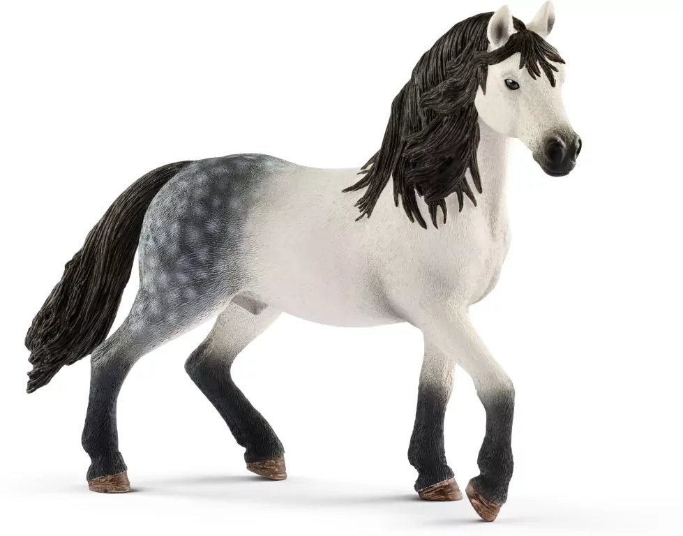 Ogier rasy Andaluzyjskiej. Horse Club - tantis.pl