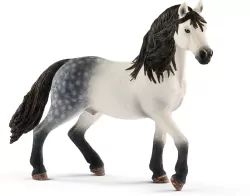 Ogier rasy Andaluzyjskiej. Horse Club