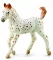 Koń Knabstrupper Foal - tantis.pl