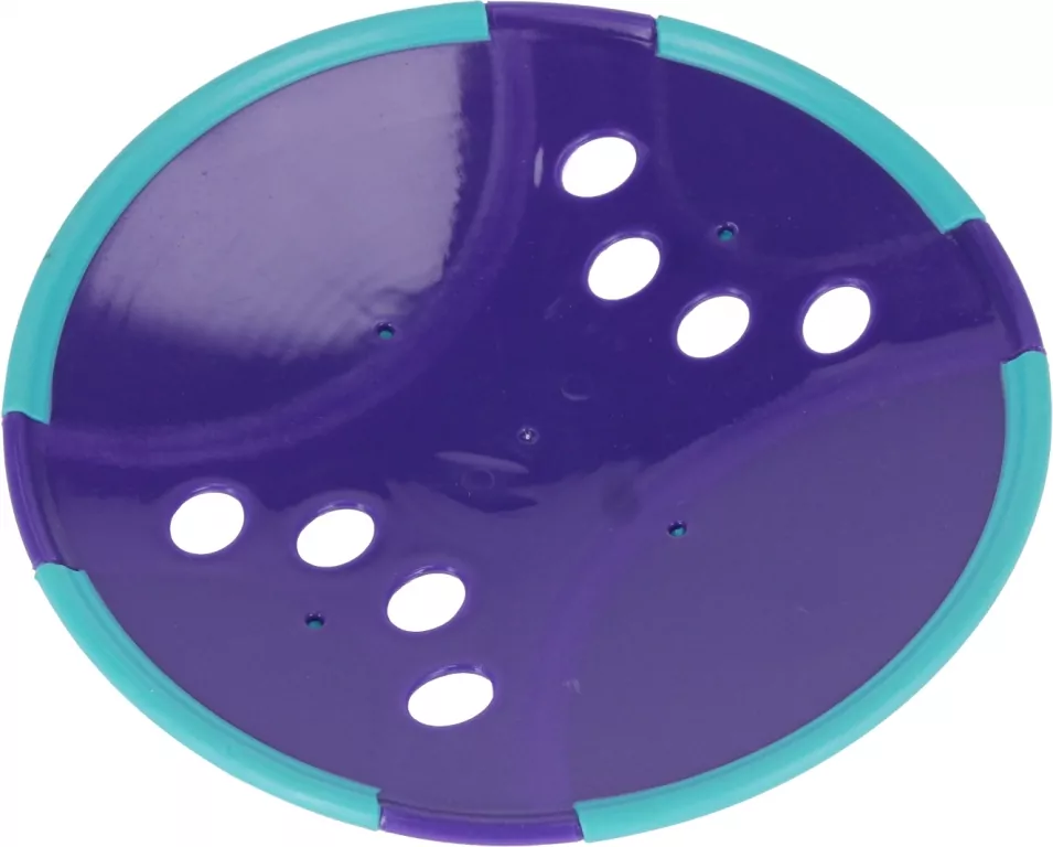 Dysk do rzucania dla Psa 23cm - tantis.pl