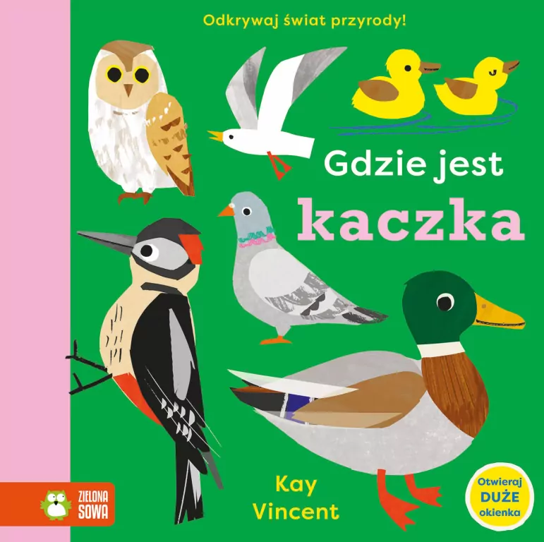 Gdzie jest kaczka - tantis.pl