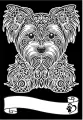 Kolorowanka Welwetowa A4 Yorkshire Terrier - tantis.pl