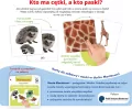 Montessori. Karty sensoryczne. Zwierzęta 2+ - tantis.pl